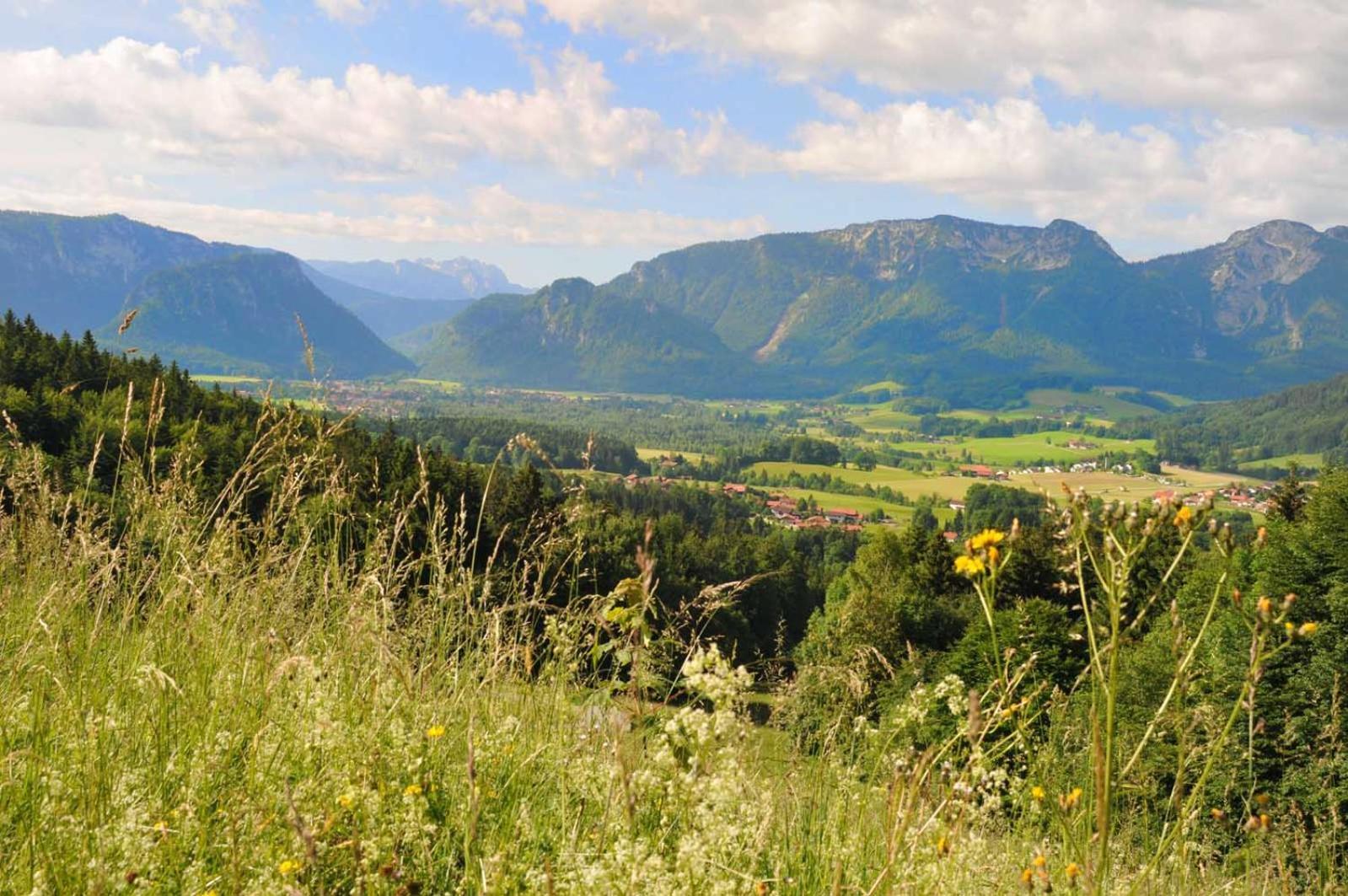 Ferienwohnungen Im Alpengaestehaus Marzoll - Bad Reichenhall Exterior foto