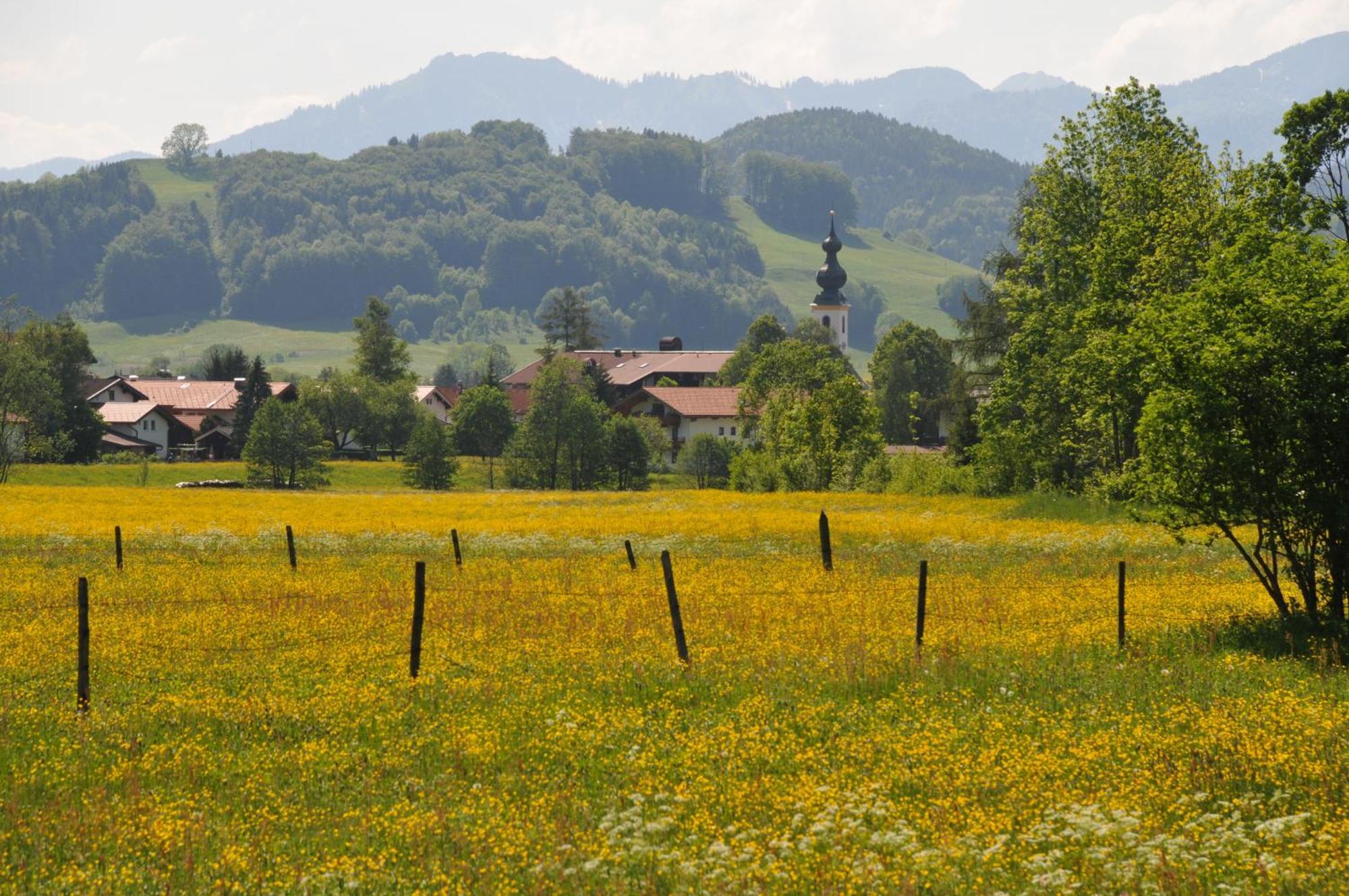 Ferienwohnungen Im Alpengaestehaus Marzoll - Bad Reichenhall Exterior foto