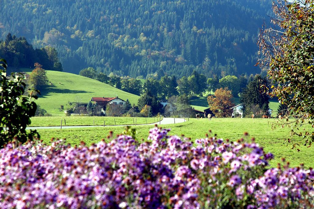 Ferienwohnungen Im Alpengaestehaus Marzoll - Bad Reichenhall Exterior foto